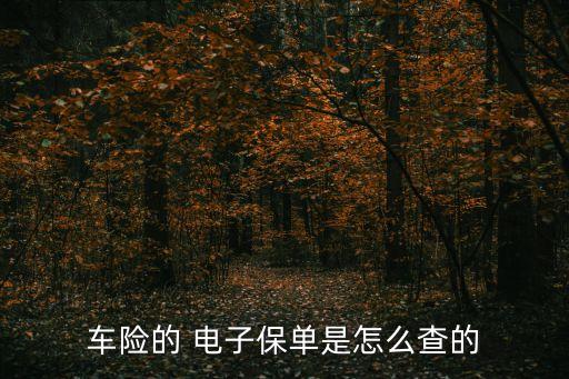 電子保險單,人壽保險車險怎么查詢電子保險單
