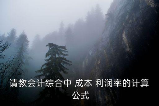 成本費(fèi)用利潤(rùn)率公式,成本與利潤(rùn)的計(jì)算公式