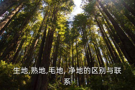 凈地出讓,土地管理法凈地出讓
