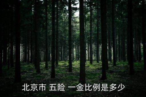 北京五險一金