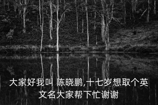 大家好我叫 陳曉鵬,十七歲想取個英文名大家?guī)拖旅χx謝