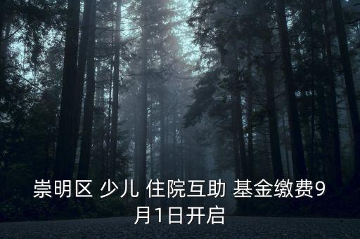上海少兒住院基金
