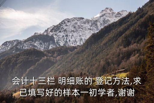 會(huì)計(jì)十三欄 明細(xì)賬的 登記方法,求已填寫好的樣本一初學(xué)者,謝謝