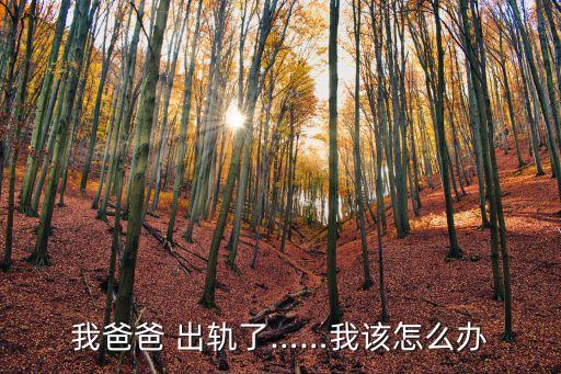 父親出軌
