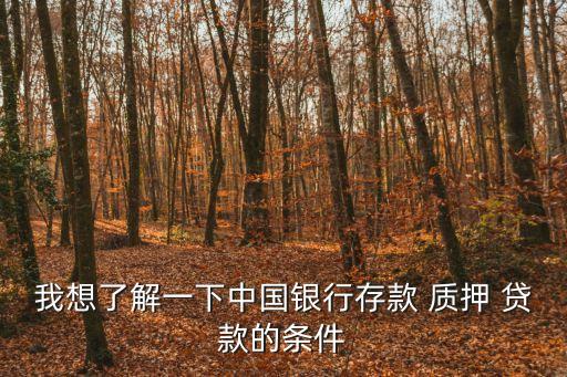 質(zhì)押貸款