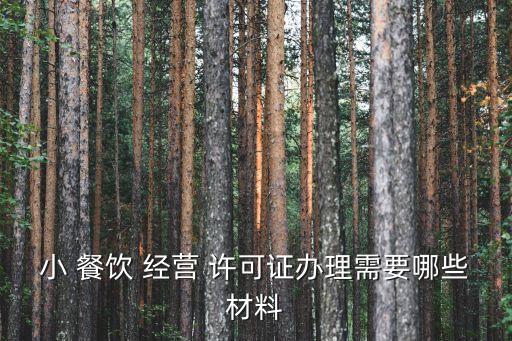 小餐飲經(jīng)營許可證