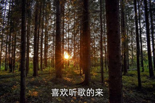 喜歡聽(tīng)歌的來(lái)
