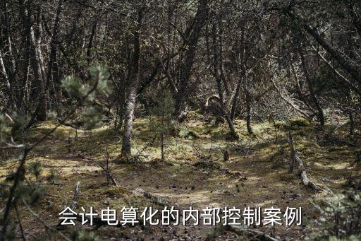 內(nèi)部控制案例，會(huì)計(jì)電算化的內(nèi)部控制案例