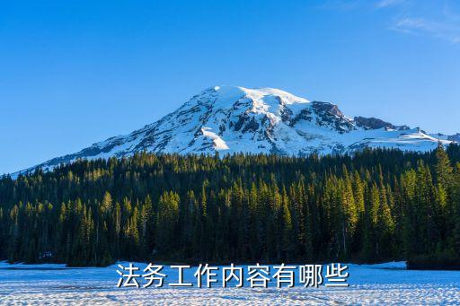 法務人員,什么公司需要法務人員