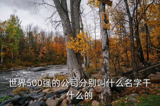 家樂福標(biāo)志,像家樂福標(biāo)志的衣服品牌