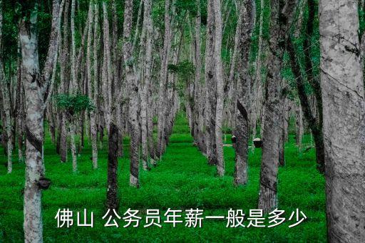 佛山 公務員年薪一般是多少