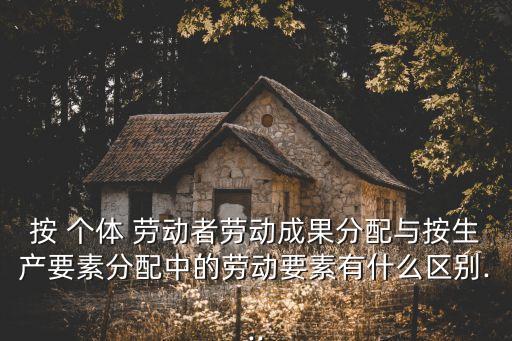 個(gè)體勞動(dòng)者