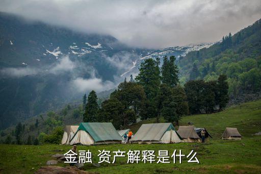  金融 資產(chǎn)解釋是什么