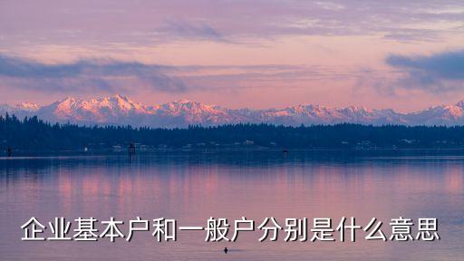 企業(yè)基本戶和一般戶分別是什么意思
