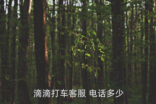 滴滴公司電話人工服務,400客服電話怎么申請