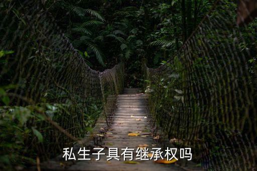 私生子可以繼承，私生子是否享有繼承權(quán)