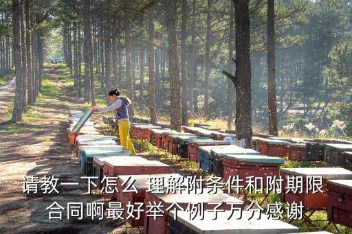 請教一下怎么 理解附條件和附期限 合同啊最好舉個例子萬分感謝