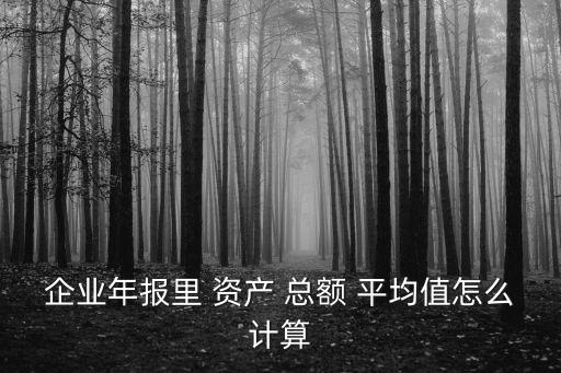 企業(yè)年報里 資產(chǎn) 總額 平均值怎么計算