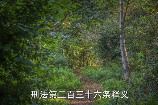  刑法第二百三十六條釋義