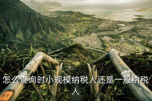企業(yè)一般納稅人查詢，怎么查詢時小規(guī)模納稅人還是一般納稅人