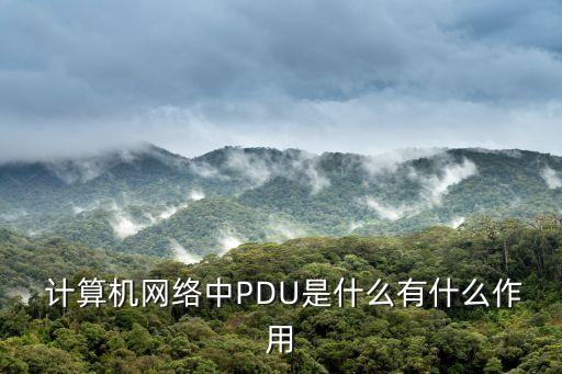 計(jì)算機(jī)網(wǎng)絡(luò)協(xié)議數(shù)據(jù)單元定義,簡(jiǎn)述計(jì)算機(jī)網(wǎng)絡(luò)的定義和功能