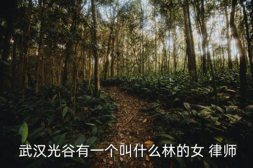  武漢光谷有一個叫什么林的女 律師