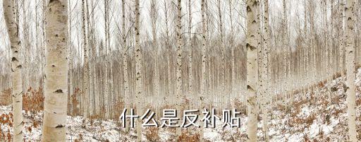 什么是反補貼