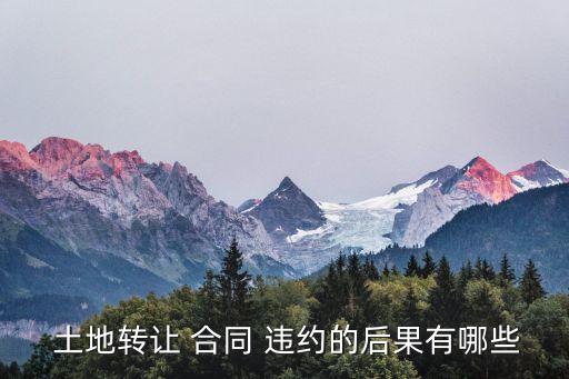 土地合同政府違約賠償案例