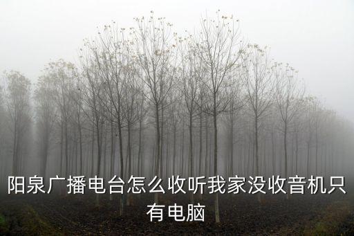 陽(yáng)泉廣播電臺(tái)怎么收聽(tīng)我家沒(méi)收音機(jī)只有電腦