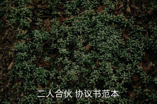 二人合伙 協(xié)議書范本