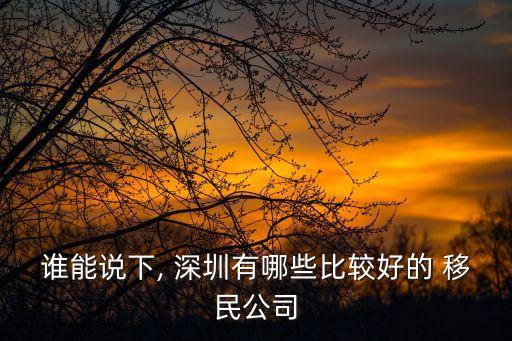 誰能說下, 深圳有哪些比較好的 移民公司