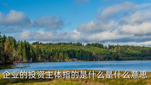 企業(yè)的投資主體指的是什么是什么意思
