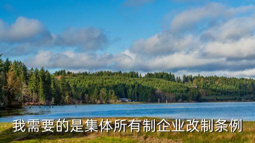 我需要的是集體所有制企業(yè)改制條例