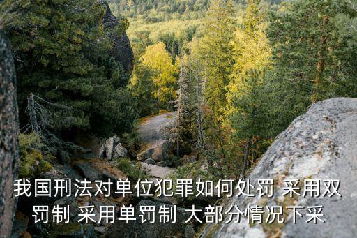 雙罰制，如何理解反洗錢(qián)法中的雙罰制
