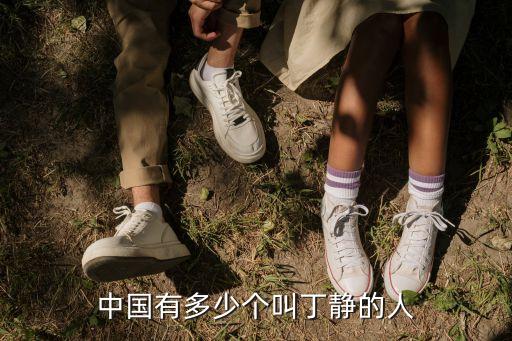 丁靜，李萬奎和丁靜的緣分