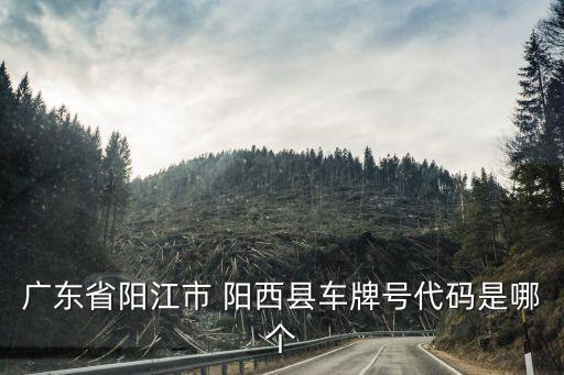 廣東省陽江市 陽西縣車牌號(hào)代碼是哪個(gè)