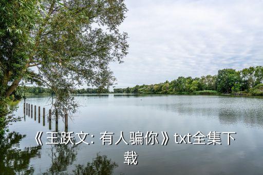 《王躍文: 有人騙你》txt全集下載