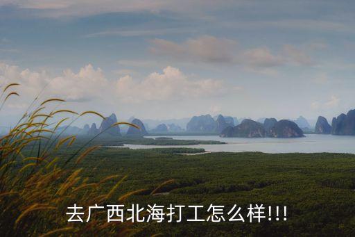 小姨的朋友