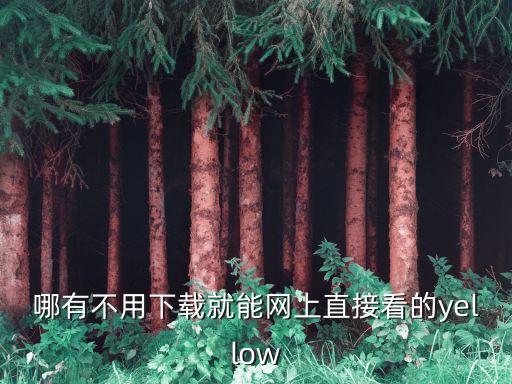 哪有不用下載就能網(wǎng)上直接看的yellow