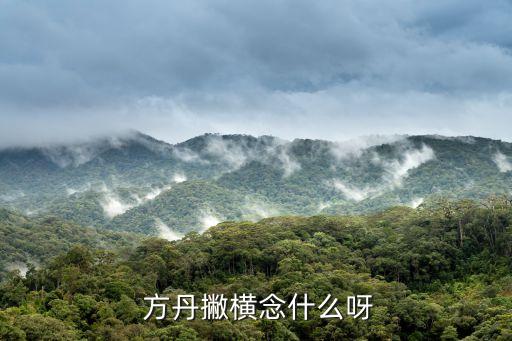  方丹撇橫念什么呀