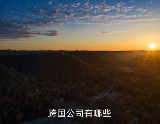跨國公司，跨國公司有哪些