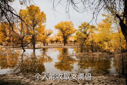 個人能收取支票嗎
