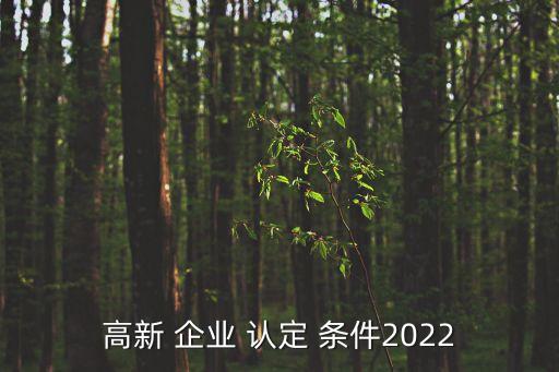 高新 企業(yè) 認(rèn)定 條件2022