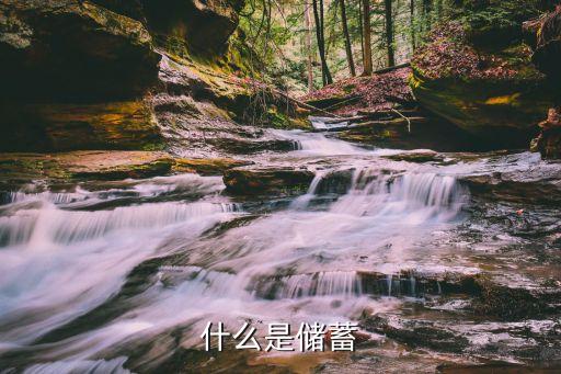 儲(chǔ)蓄存款，儲(chǔ)蓄存款指什么