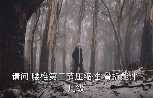 請問 腰椎第二節(jié)壓縮性 骨折能評 幾級