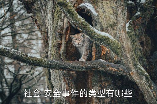 安全事件