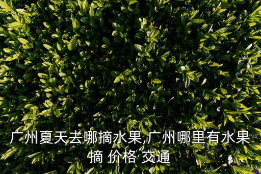 果園地