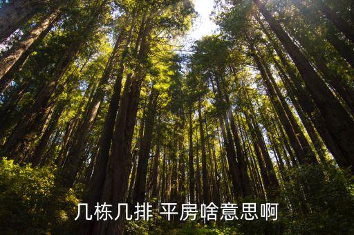 幾棟幾排 平房啥意思啊