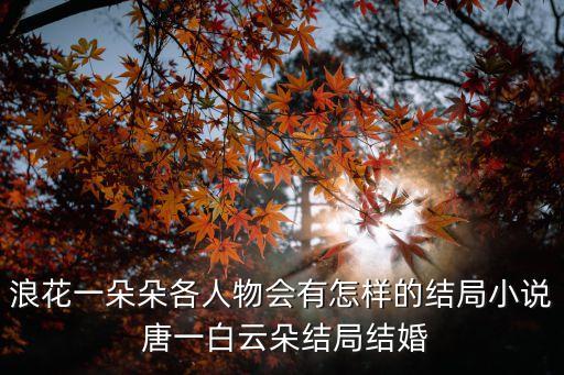 浪花一朵朵各人物會(huì)有怎樣的結(jié)局小說(shuō) 唐一白云朵結(jié)局結(jié)婚