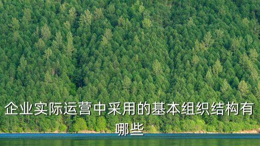 企業(yè)實(shí)際運(yùn)營中采用的基本組織結(jié)構(gòu)有哪些